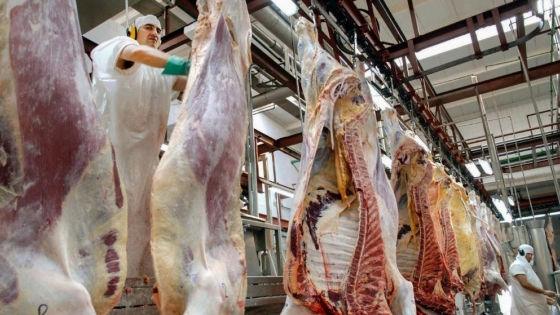 Con el apoyo de los exportadores, el Gobierno implementa un nuevo sistema de enfriamiento de la carne vacuna