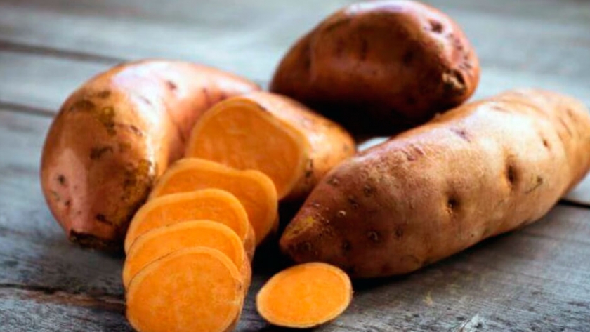 Boniato o batata zanahoria, el cultivo típico de Uruguay que es cada vez más tendencia en Argentina