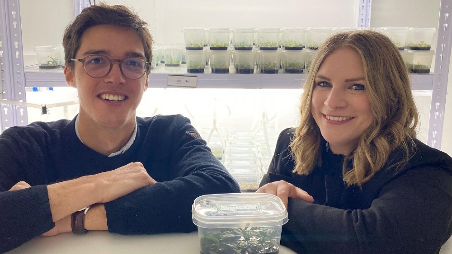 Amatera secures $7 million to accelerate climate-smart crop breeding with AI, robotics and plant cell culture