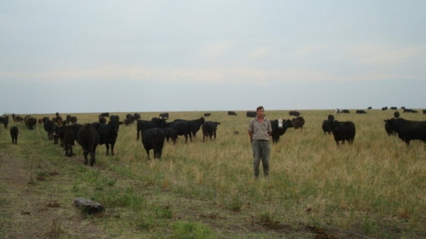 ¿Podrán los empresarios agropecuarios argentinos algún día vender bonos de carbono?