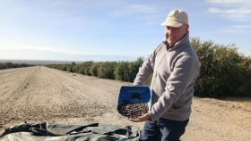 El agrónomo que apostó por un cultivo desconocido y creó un negocio