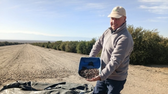 El agrónomo que apostó por un cultivo desconocido y creó un negocio