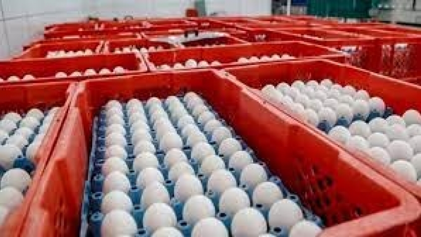 Huevos, cítricos, maní y pesca piden no estar comprendidos en la suba de retenciones