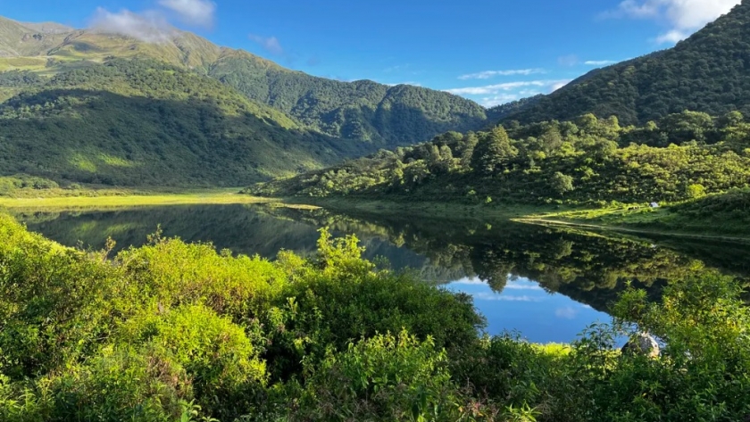Protección de bosques nativos: Jujuy es una de las provincias que mejor cumple con la ley 26331