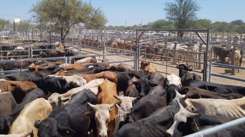 Lucas Rodríguez: “Otra Argentina es posible desde Formosa, con trabajo y organización”