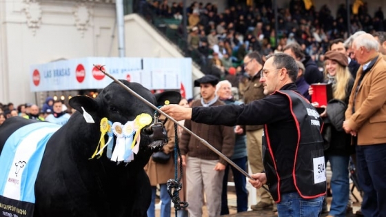 Un toro cordobés se consagró Gran Campeón Brangus en Palermo y marca un hito para la cabaña La Morocha