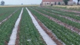 La Niña se atenúa y las lluvias benefician al agro