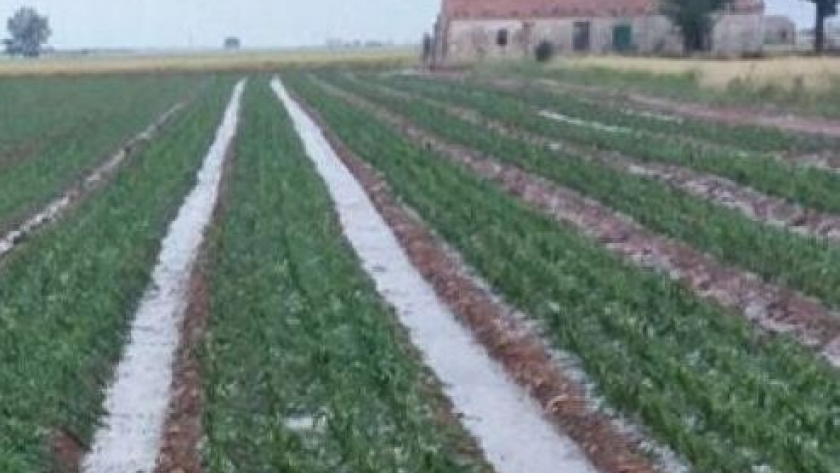 La Niña se atenúa y las lluvias benefician al agro