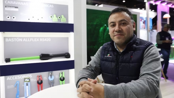 Identificación electrónica bovina: el 20% del rodeo ya adopta la tecnología antes de ser obligatoria