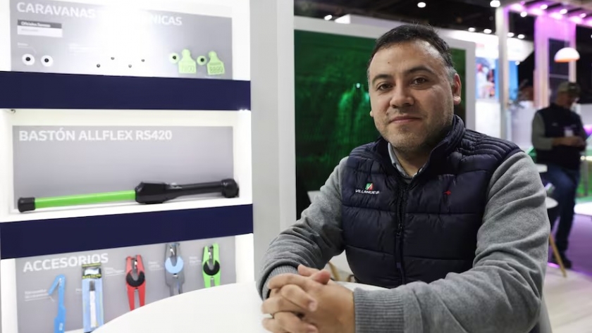 Identificación electrónica bovina: el 20% del rodeo ya adopta la tecnología antes de ser obligatoria