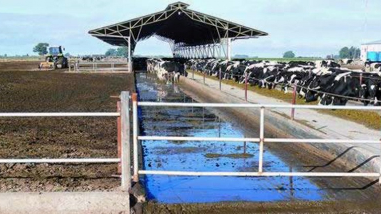 Los tambos avanzan hacia un modelo circular: buscan transformar residuos en energía y fertilidad