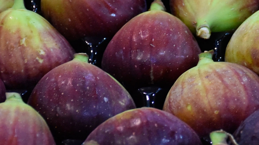 El higo no es una fruta sino una flor invertida El higo no es una fruta sino una flor invertida