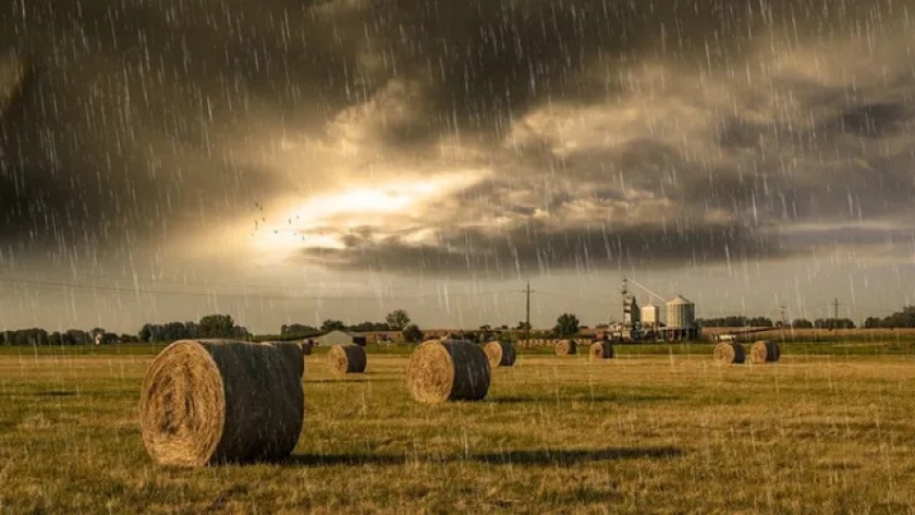 Las lluvias trajeron alivio al campo cordobés, pero la sequía persiste en Buenos Aires y Santa Fe