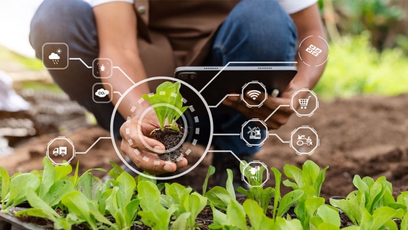 Benefits of regenerative agriculture remain unclear, says EIT: consumers unconcerned about soil health when buying food