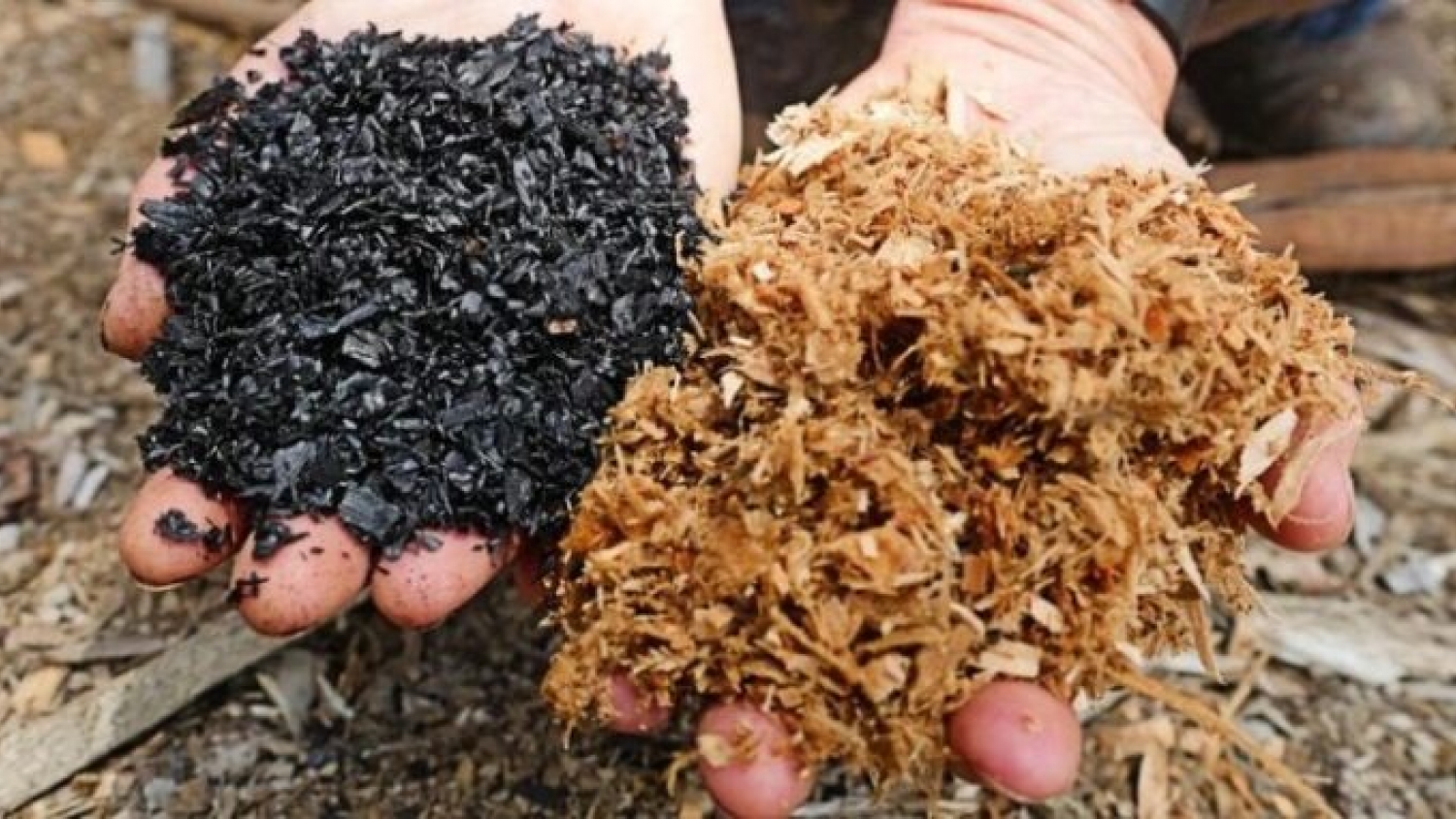 Biocarbón: la tecnología que convierte residuos en créditos de carbono y gana terreno en la agenda climática