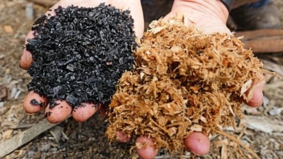 Biocarbón: la tecnología que convierte residuos en créditos de carbono y gana terreno en la agenda climática