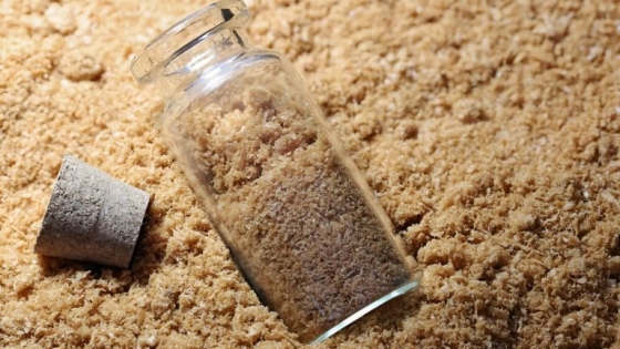 Harina y aceite de pescado: subproductos que se consolidan como insumo estratégico y elevan su valor internacional