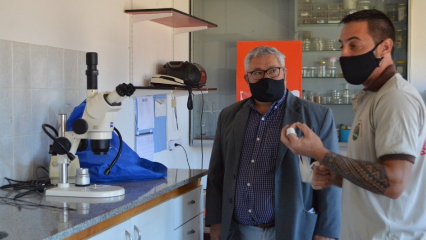 El Ministerio de Agricultura, Ganadería, Industria y Comercio monitorea frutales para prevenir plagas en el VIRCh
