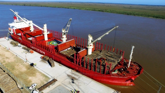 Los puertos de Entre Ríos apuestan a capitalizar los cambios que se vienen en la hidrovía