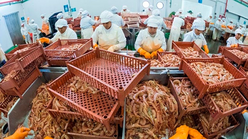 Volúmenes, precios y destinos en las exportaciones de las principales especies
