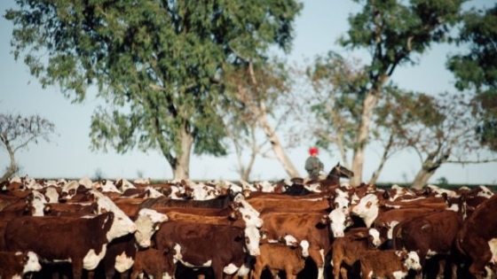 <Por qué puede ser un momento histórico para la ganadería en Argentina