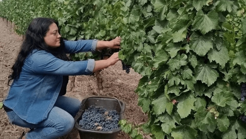 Las “Mujeres de la Viña” arrancan el camino de la exportación de vino, con EE.UU. como primer destino