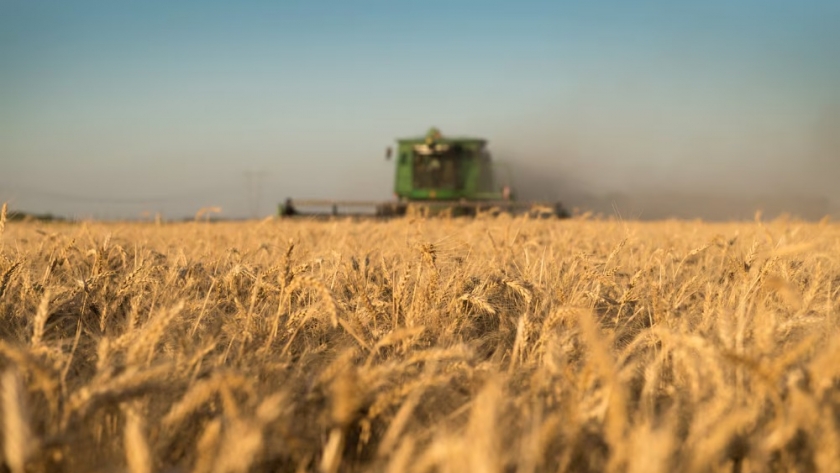 Retenciones agrícolas 2024: una carga fiscal que desafía la rentabilidad del campo argentino