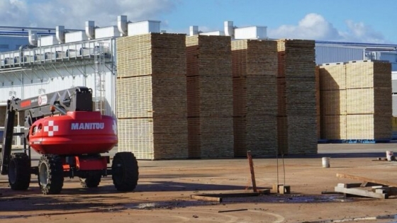HS Timber Group avanza con la puesta en marcha de su mega-aserradero instalado en Argentina: exportó en marzo los primeros 60 contenedores de madera