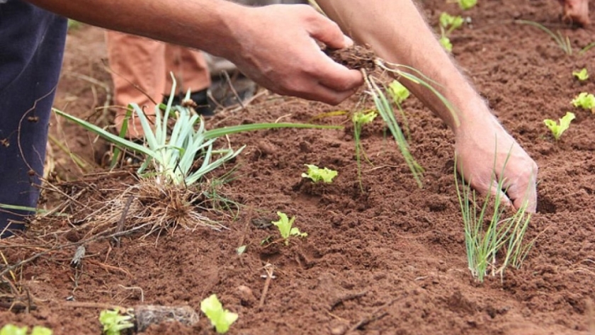 Acuerdo para el desarrollo de la Agricultura Familiar en la provincia de Santa Fe