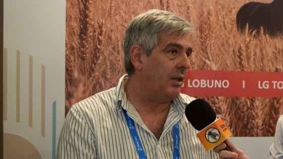 Con márgenes ajustados, la genética gana terreno en la campaña de trigo y redefine las decisiones de siembra