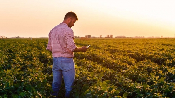 <Cómo la trazabilidad en el agro genera nuevas oportunidades