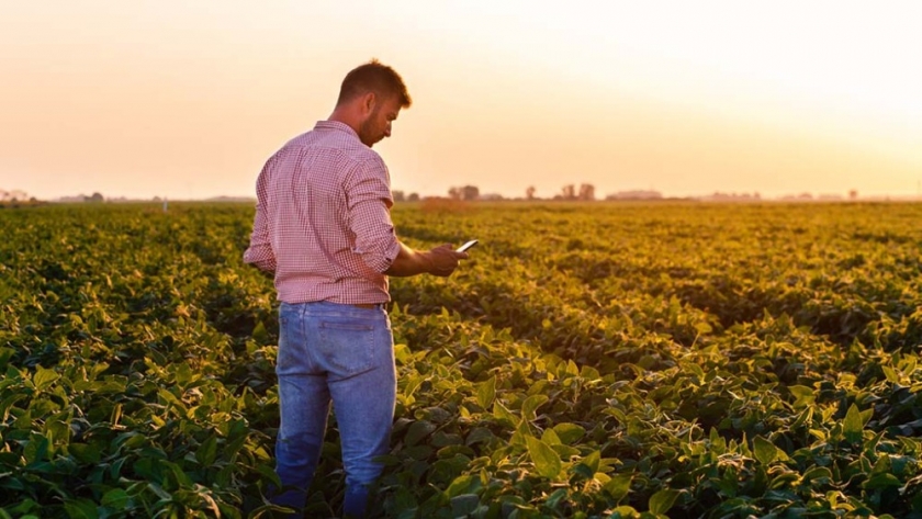 Cómo la trazabilidad en el agro genera nuevas oportunidades