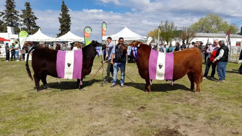 Fiestas populares en Río Negro: tres eventos imperdibles para este fin de semana