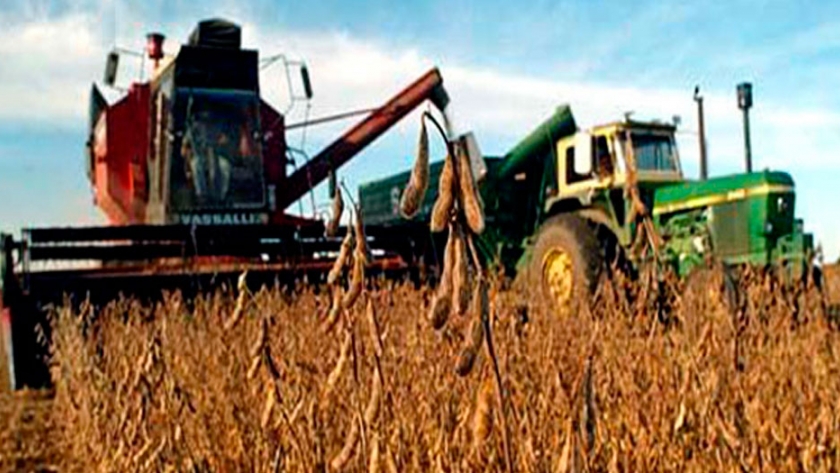 Paraguay: Las exportaciones de soja con el valor más bajo desde 2012