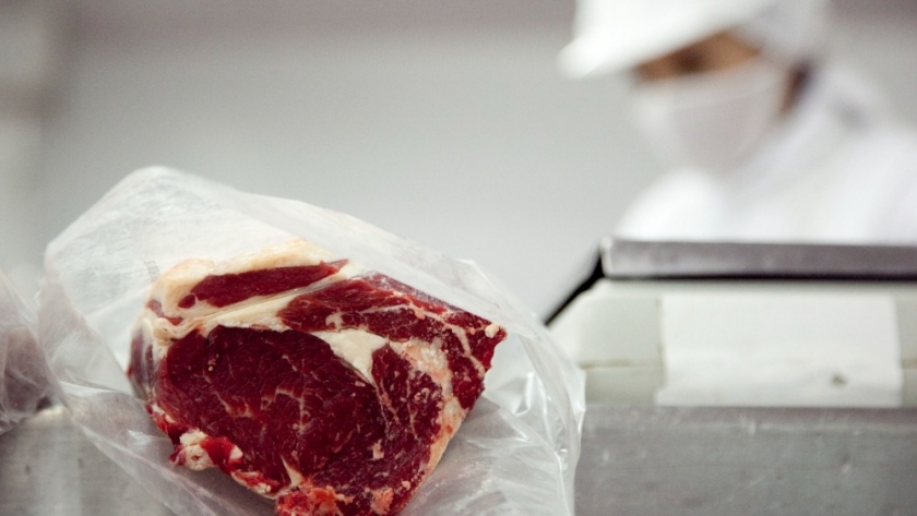 Creció la producción de carne bovina con mayores exportaciones y consumo interno