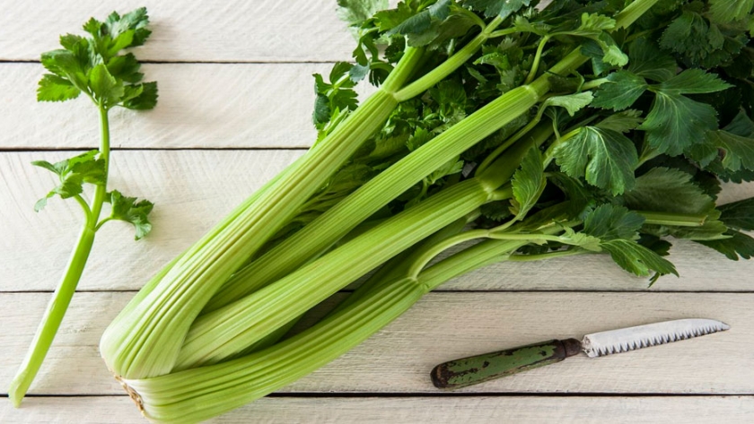 Cómo cultivar apio