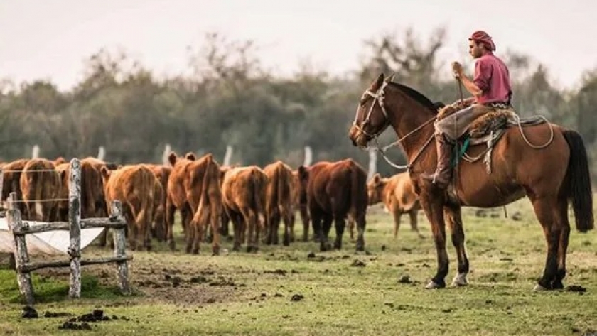 Los trabajadores rurales podrán tomarse hasta diez días con goce de sueldo por enfermedad o accidente de familiar