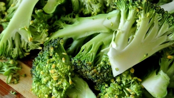 Descubren un compuesto del brócoli que puede ayudar a personas con esquizofrenia