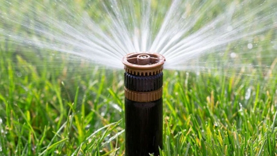 <Tiempo de riego en tu jardín: consumo de agua sostenible, mantenimiento, novedades