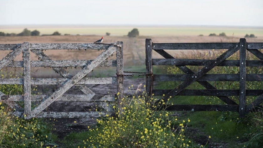 La compraventa de campos agrícolas repunta: aumento de precios y confianza renovada