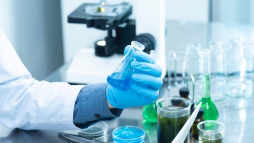 Economía participó en el tercer encuentro del Ciclo de Intercambio de Experiencias Federales de Ciencia y Tecnología