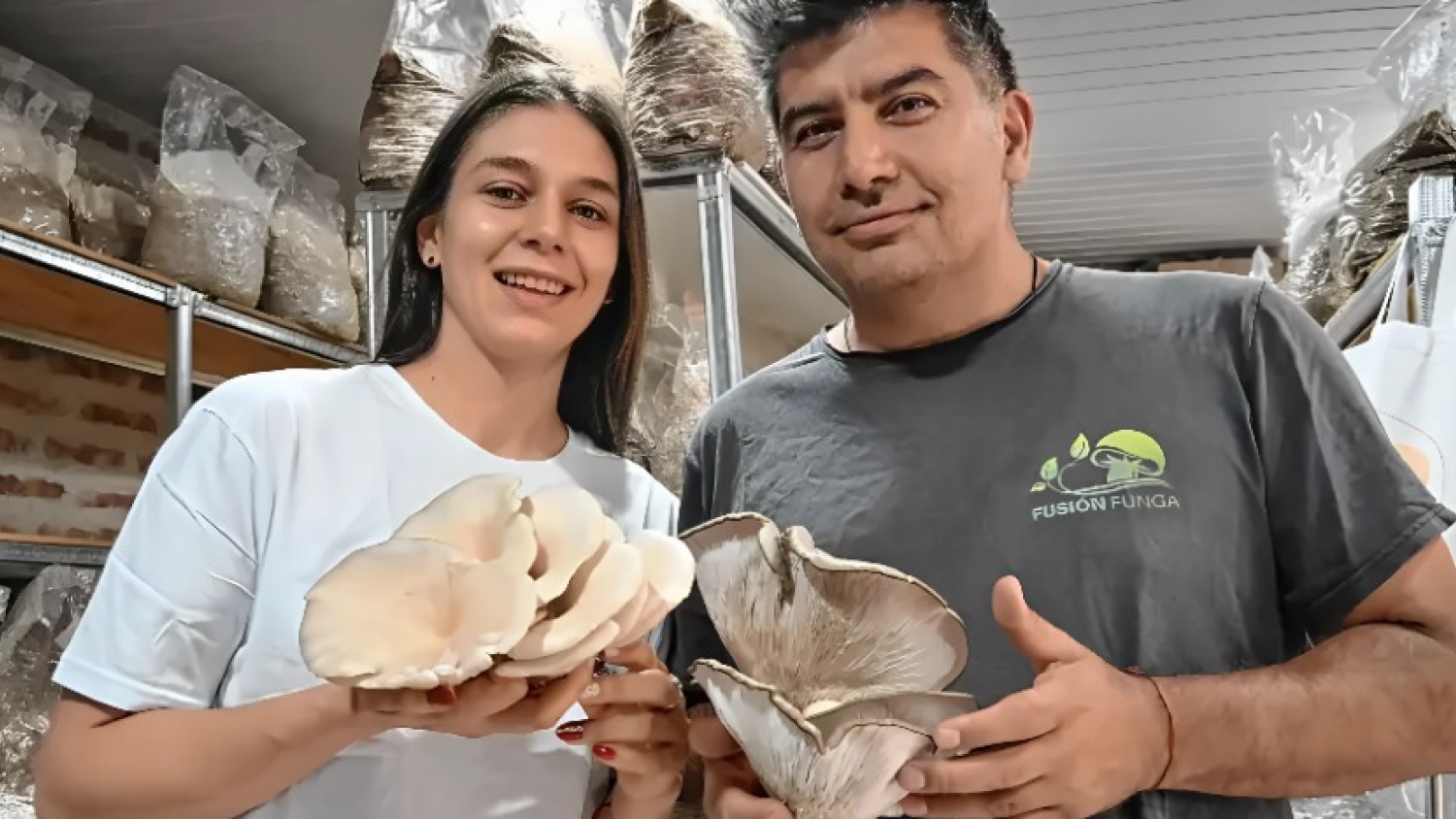 Del autoconsumo al mercado regional: cómo un emprendimiento patagónico transformó la producción de hongos