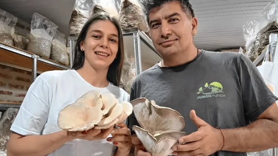 Del autoconsumo al mercado regional: cómo un emprendimiento patagónico transformó la producción de hongos