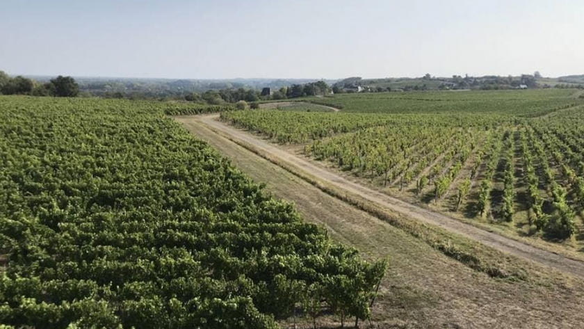 Agricultura: "Alto valor medioambiental", ¿una etiqueta que carece de ambición?