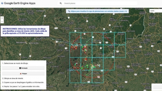 Datos georreferenciados para la madera: el nuevo apoyo estatal a la industria forestal