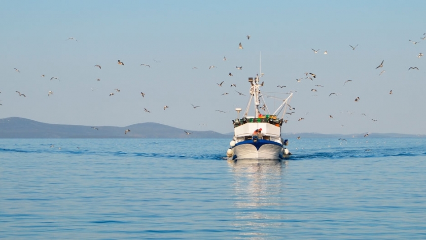 Avanzan en un Convenio Colectivo para trabajadores de la pesca de Chubut