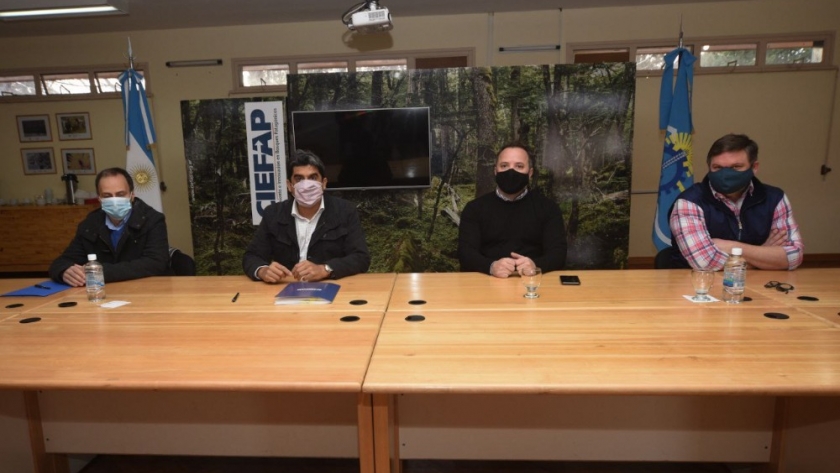 Comenzó la restauración de bosques en áreas afectadas por los incendios forestales de la comarca andina