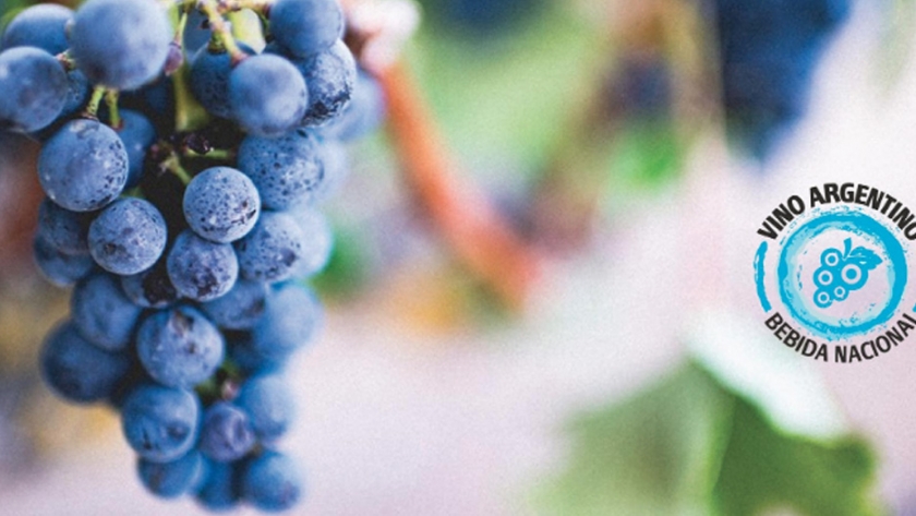 El vino argentino continuó creciendo en el mercado interno durante octubre