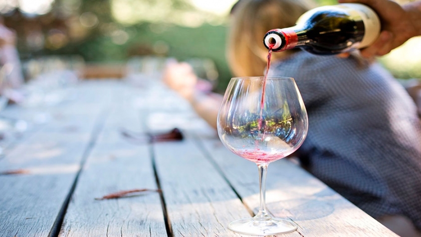 Cinco vinos que te permitirán saborear el carácter de la tierra de montaña