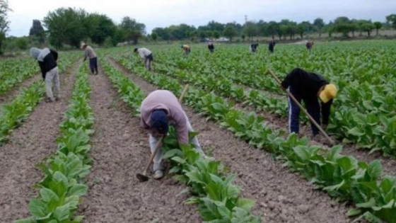 Aumento del 21% para los sueldos de los trabajadores rurales
